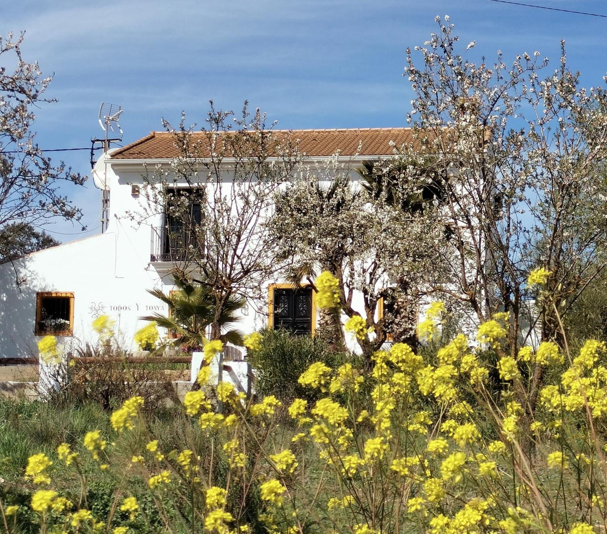 Bed and Breakfast Todos Y Tonya Archidona Zewnętrze zdjęcie