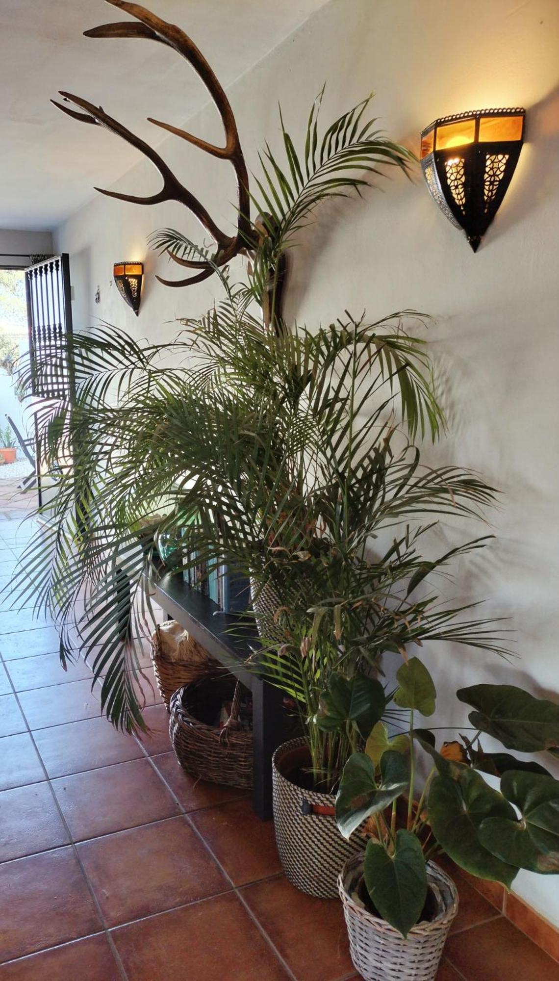 Bed and Breakfast Todos Y Tonya Archidona Zewnętrze zdjęcie